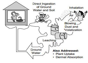 toxic chemicals in soil